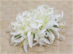 White Large Spider Lily Hair Clip 6"