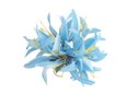 Sky Blue Small Spider Lily Hair Clip 4.5&quot;