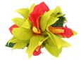 Green &amp; Red Small Hair Clip 4&quot; Orchid