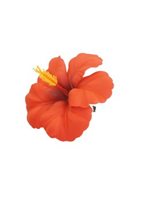 Red Form Hibiscus Hair Clip 4"