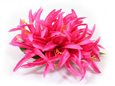 Hot Pink Large Spider Lily Hair Clip 6&quot;