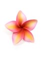 Pink &amp; Yellow Single Plumeria Hair Clip 2.5&quot;