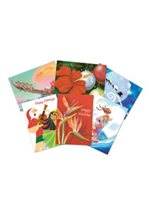 Island Heritage Assorted Pack #7 Value Pack Christmas Card 24 cards