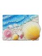 Island Heritage Coastal Polyresin Magnet - 4 shells