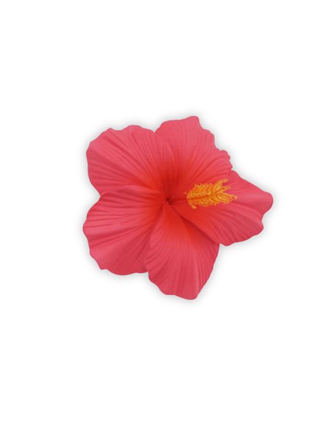 Hot Pink Medium Hibiscus Hair Clip 3.5