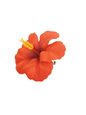 Red Form Hibiscus Hair Clip 4&quot;