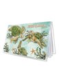 Island Heritage 2025 POCKET CALENDAR - HONU JOURNEY